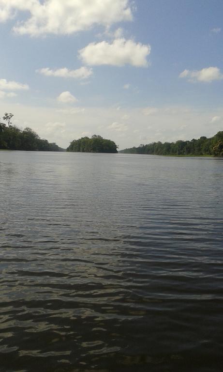 All Rankins Eco-Lodge Tortuguero Ngoại thất bức ảnh