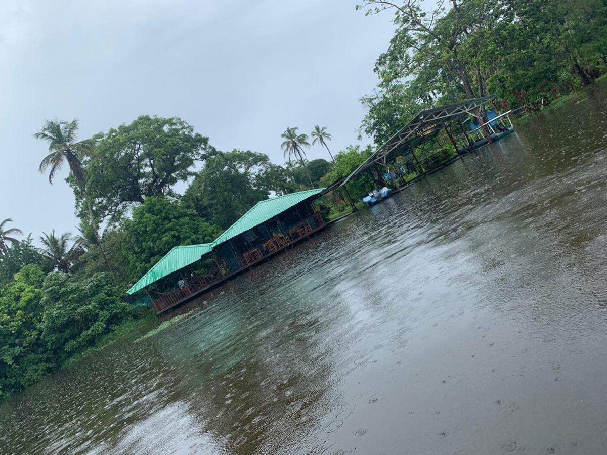 All Rankins Eco-Lodge Tortuguero Ngoại thất bức ảnh
