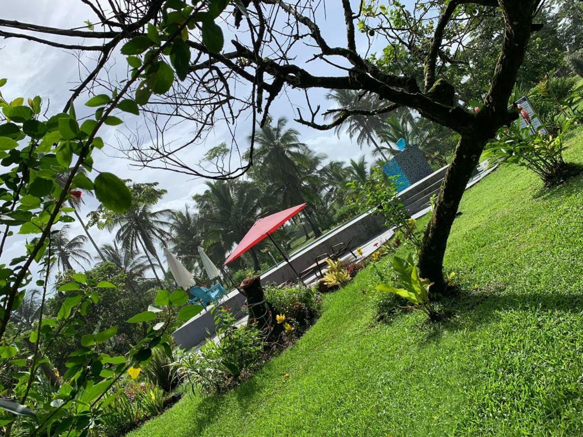 All Rankins Eco-Lodge Tortuguero Ngoại thất bức ảnh