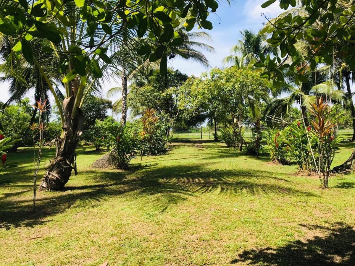 All Rankins Eco-Lodge Tortuguero Ngoại thất bức ảnh